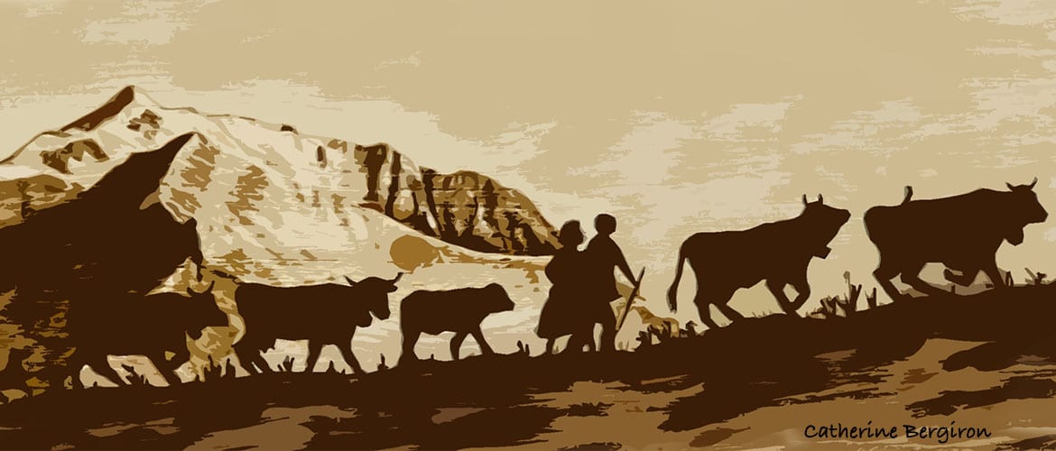 Les scènes de tranhumance