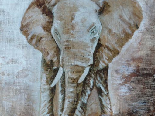 Eléphant
