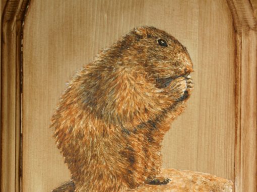 Marmotte au repas