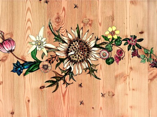 Carline et fleurs des Alpes