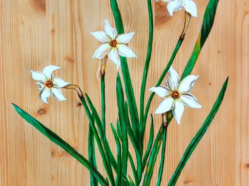 Narcisse